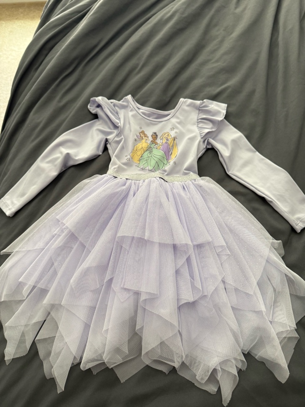 Disney Lavender Princess Tulle Dress Costume